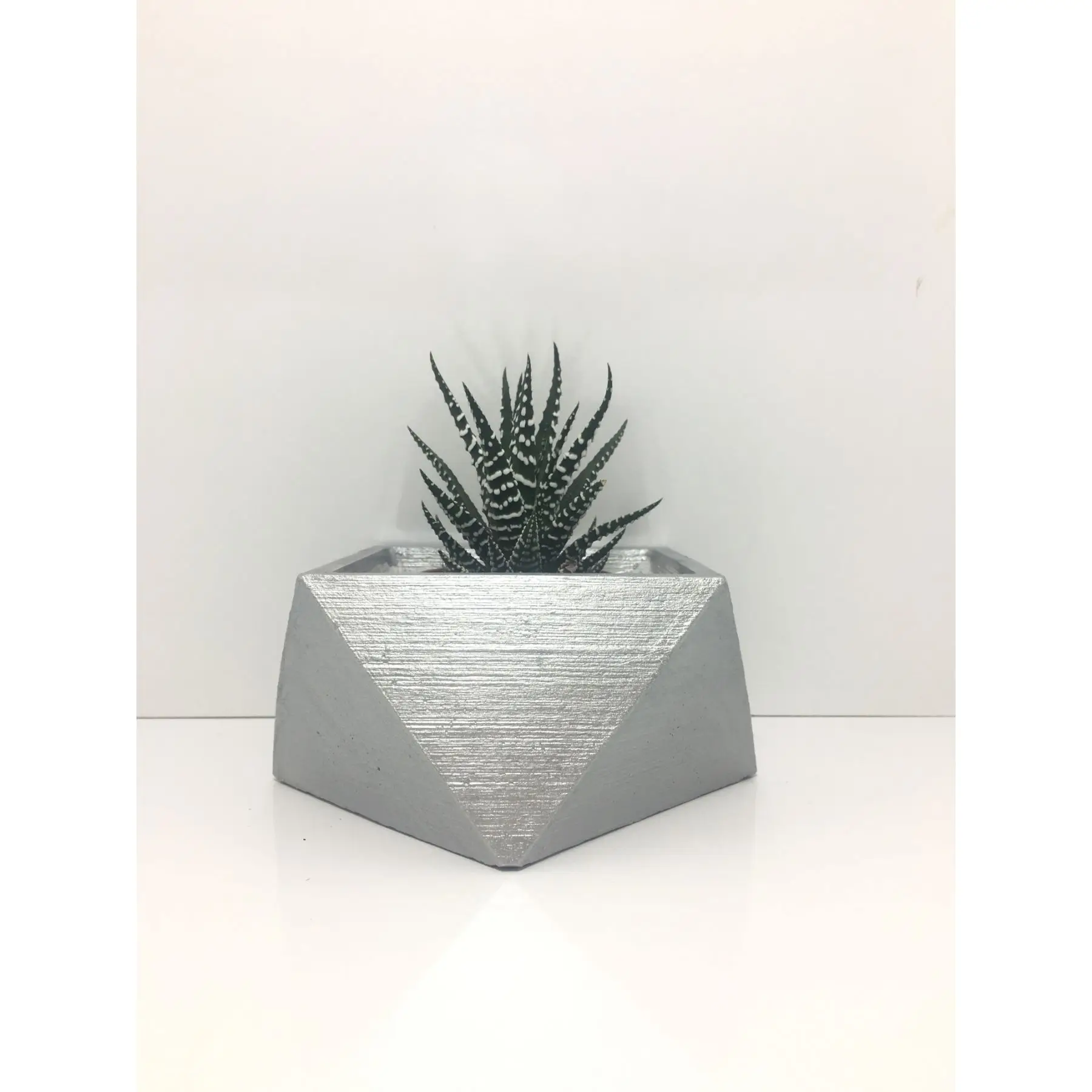 

Big Square Concrete Pot and Live Sukulent - YE1606