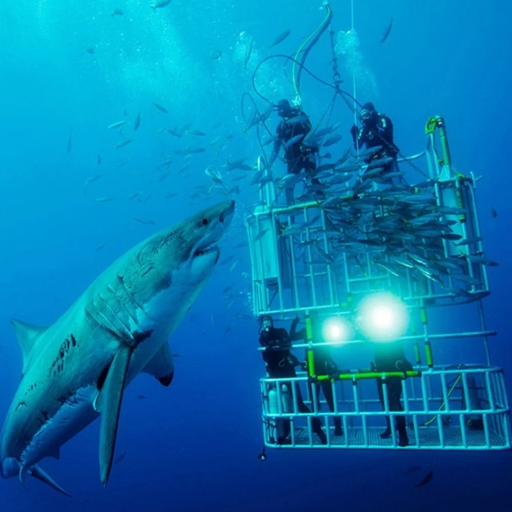 Светодиодный фонарик T6 для дайвинга водонепроницаемый фонарь высокой мощности