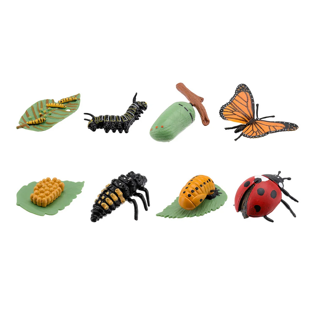 

2 Sets/8pcs Simulation Butterflies Ladybug Life Cycle Models Kids Cognitive Toys