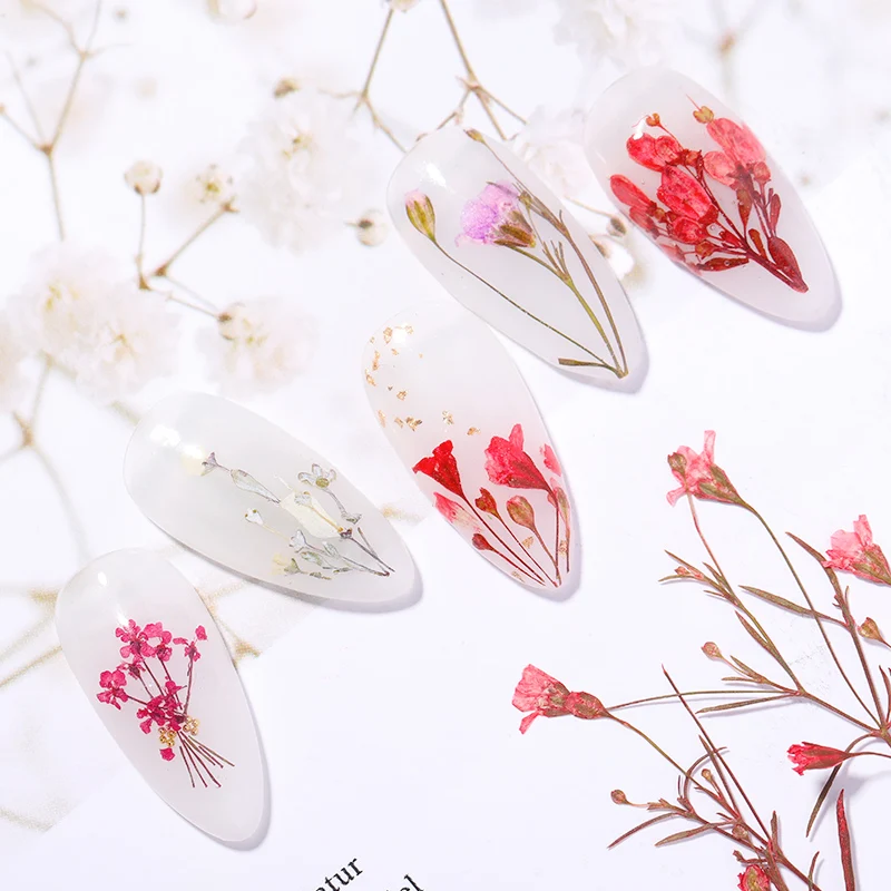 Сушеные цветы украшения для ногтей натуральные цветочные 3D сухие гортензии