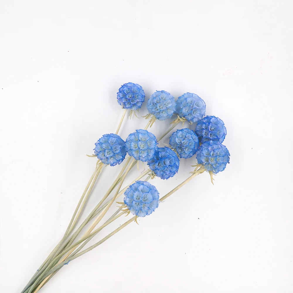 10 шт. конус сосны ветряная мельница для фруктов сохраненные цветы Рождественское