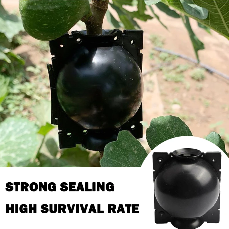 

Plant Root Growing Box Grafting Sapling Breeding Case High Pressure Propagation Ball Rooting Device For Garden Tool Dia 5/8/12cm