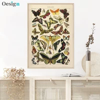 butterfly insect vintage poster papillons print canvas painting biology education wall art picture modern study room decoration