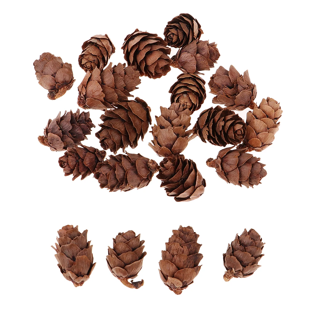 50x натуральные декоративные сосновые конусы Pinecone для Рождественского украшения