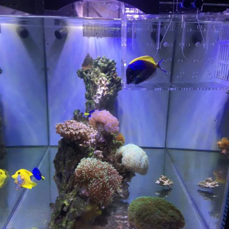 Аквариум детский аквариум изолирующая коробка инкубатория инкубатор разведение