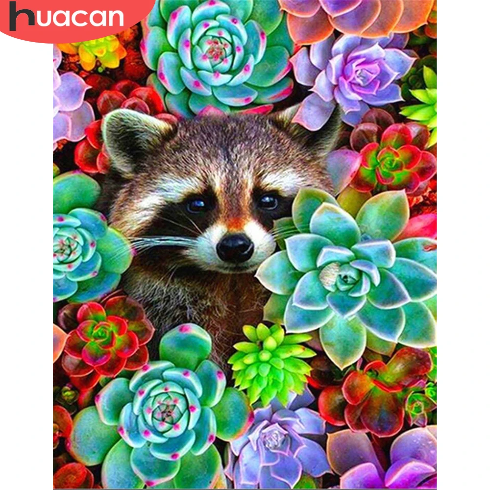 

HUACAN картина по номеру енота наборы животных для взрослых ручная роспись DIY картина по номеру суккулентные растения на холсте домашний декор
