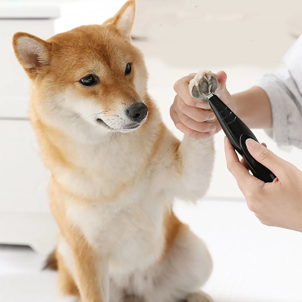 Машинка для стрижки домашних животных машинка собак USB перезаряжаемая бритва |