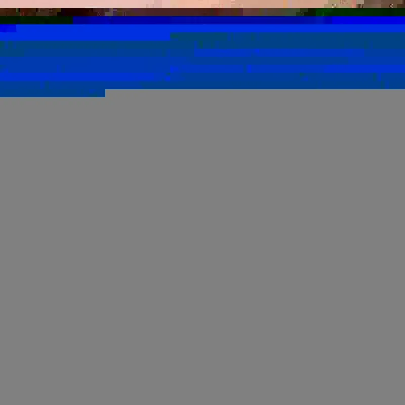 

2pcs/set Lip Plumper Gloss Ginger Mint Moisturizing Lip Fine Lasting Lipstick Lip Oil Repairing Reduce Makeup Lip Plumper L G6C6