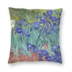 Квадратная Подушка-чехол с рисунком Ван Гога, домашняя декоративная подушка с рисунком, декоративная подушка для автомобиля, двусторонняя печать