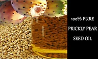 100 pure natural cold pressed premium grade moroccan prickly pear seed oil