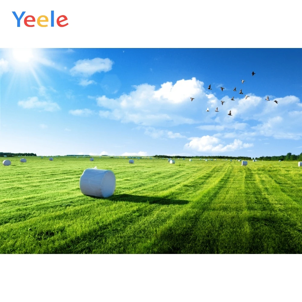 Фон для фотосъемки с изображением летних праздников сельской фермы зеленой