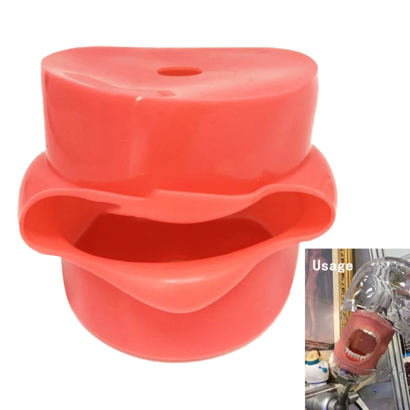 

1pcs Plastic Dental Tooth Mouth Mask Study Teaching Model Mask Holder Decor (the teeth model did not include)