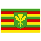 Бесплатная доставка, гавайский флаг 90*150 см, 5*3 фута, полиэстер, фотоотделка Xuthus