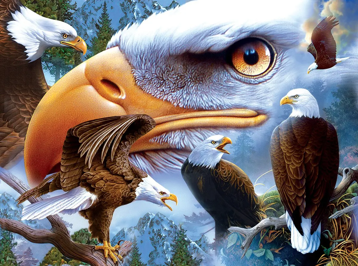 

Алмазная живопись с орлом Jmine Div 5D, наборы для вышивки крестиком, искусство, высокое качество, животные, 3D краска алмазами