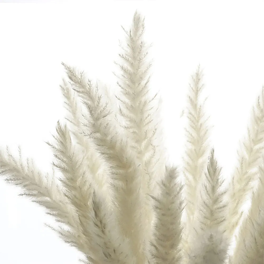 

15Pcs Dried Pampas Grass Phragmites Flower Decorations Home Wedding Decorations DIY Dried Flower Arrangement Simulation Bouquet