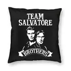 Дневники вампира, ТВ-шоу, Деймон, Стефан, наволочка для подушки, двусторонняя наволочка с принтом, наволочка для автомобиля, крутая наволочка, домашний декор