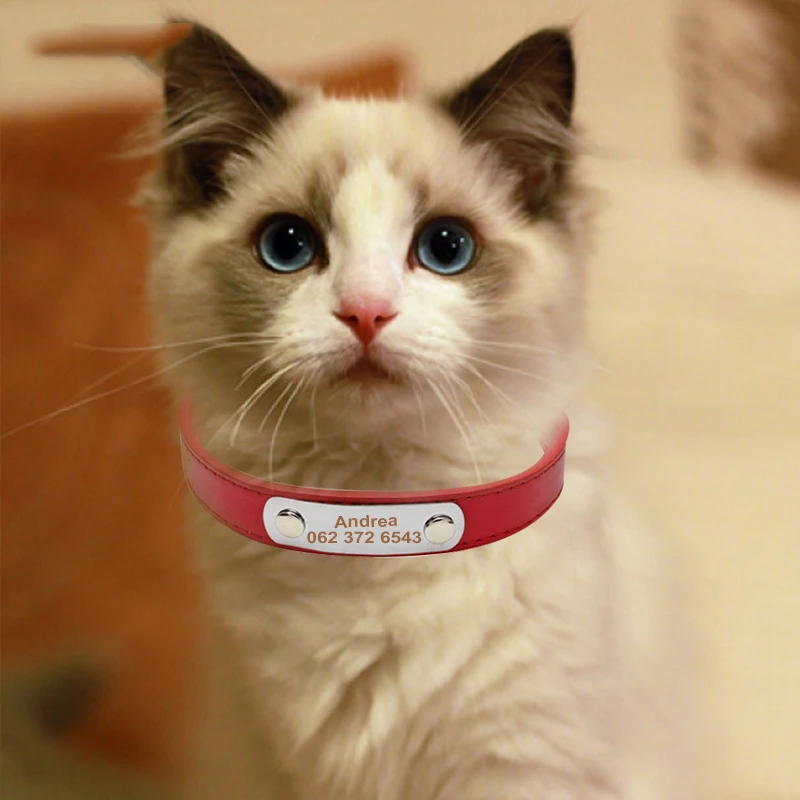 Кожаные идентификационные ошейники для питомцев собак и кошек животных с