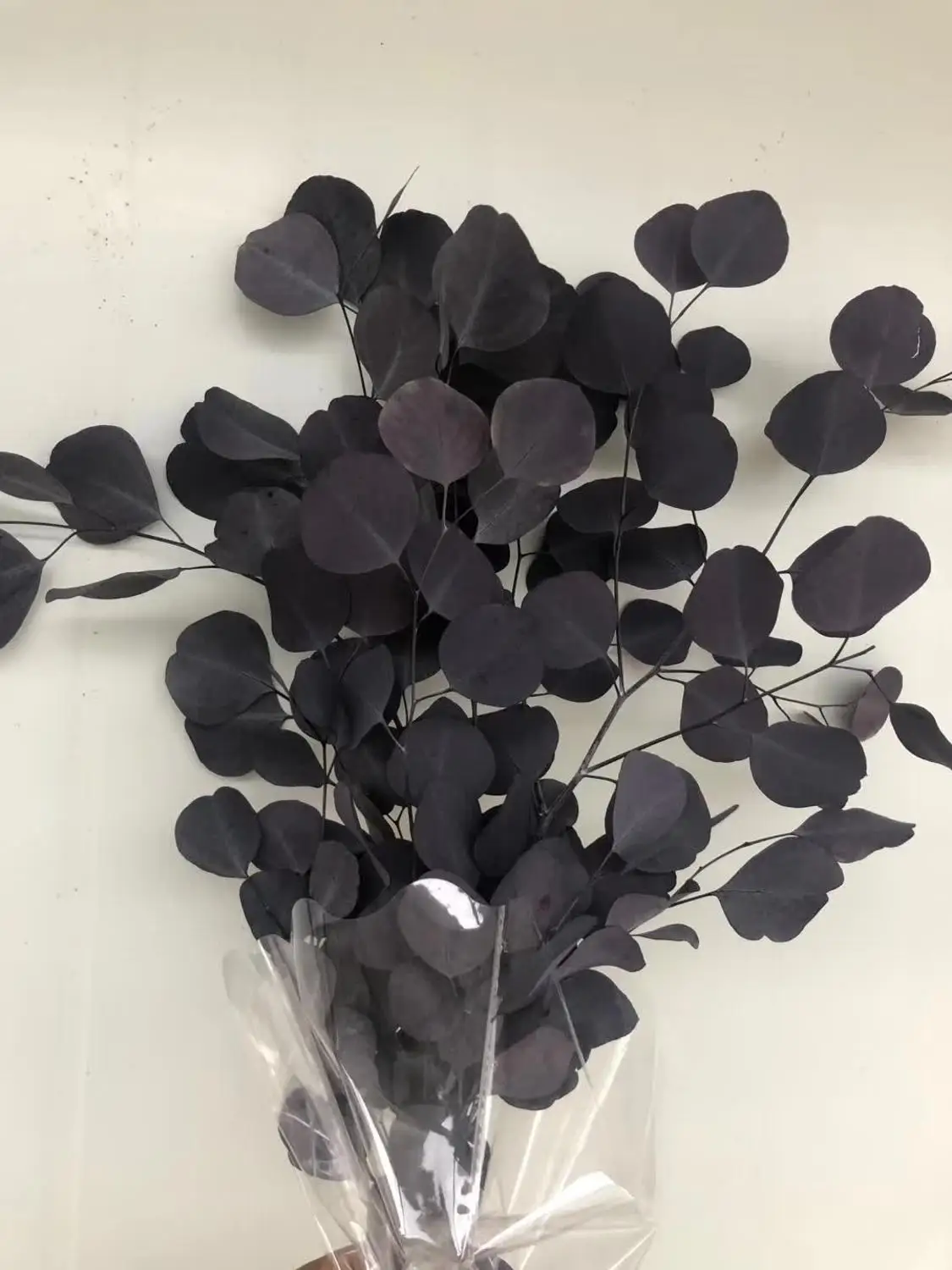 Цветные листья эвкалипта яблока Осенние круглые натуральные вечные 50 г