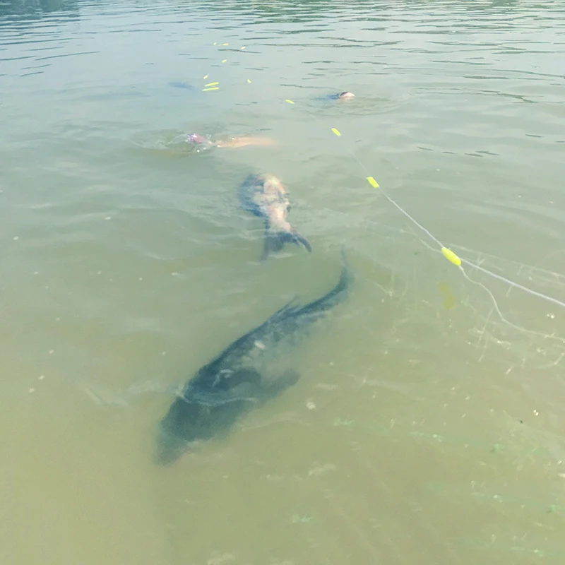 Густая трехслойная рыболовная сеть Lawaia Зеленая Шелковая свинцовый грузил