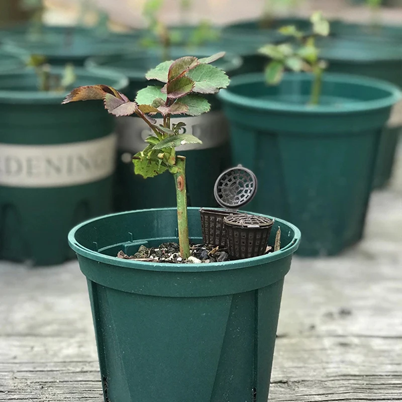 

50Pcs Plant Fertilizer Baskets With Lid Orchid Cultivate Park Root Nursery Pots Bonsai Agriculture Aquarium Portable NEW