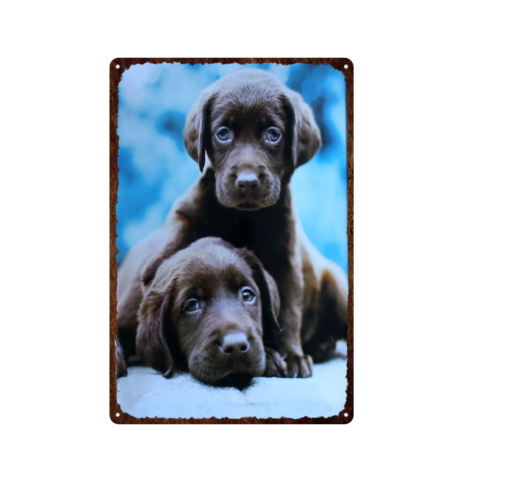 

Dogs And Cats Chinese Classical Beauty And Animals Retro Plaque Iron Painting Metal Tin Sign Wall Decoration Painting Home Bar