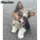 Модный набор из поводка и поводка для домашних животных, собачий жилет стиль, для маленьких и средних собак, для улицы, для французского бульдога, корги, дропшиппинг ZLL13