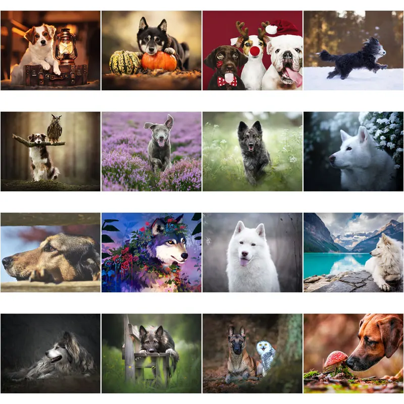 

5D DIY Diamond Painting Pet Dog Full Square Round Drill Embroidery Rhinestone Mosaic Animal Cross Stitch Home Decoration Crafts