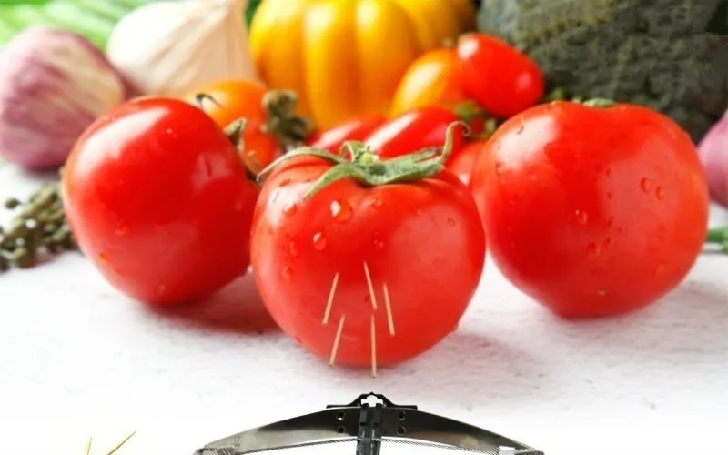 Упругая игрушка один набор украшений для автомобиля переднего стола или