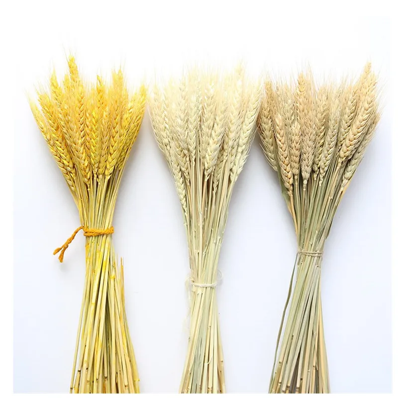 

50Pcs/lot Real Wheat Ear Flower Natural Dried Flowers DIY Craft Scrapbook Home Decor For Wedding Party Decoration Wheat Bouquet