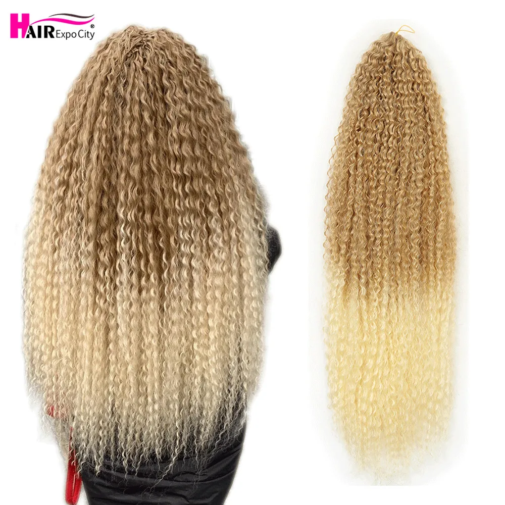 20-28 Inch Afro Kinky Curly Crochet Braids Hair Ombre Braiding Hair Extensions Marly Hair For Women Brown 613 Hair Expo City