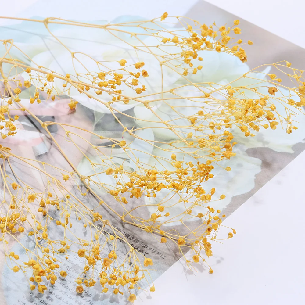 Наполнитель из эпоксидной смолы 1 коробка для сухого цветка ручной работы сделай