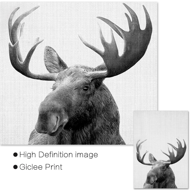 Большие черно белые постеры для декора комнаты мальчиков с принтом лосят