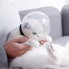 Изображение товара 0