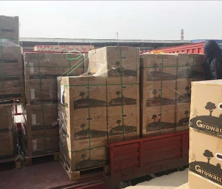 

Growatt G833 110V SPF3000TL LVM-48V Single Phase Solar Inverter Pv Off-Grid Inversor 3Kw 3000W Off Grid Inverter