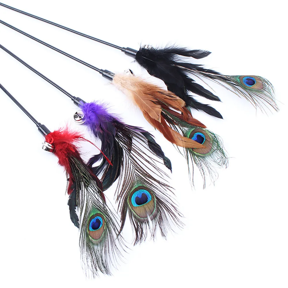 

Pet Cat Toy Colorful Feather Rod Teaser Wand Kitten Pet Teaser Peacock Feather Interactive Fun Toy Wire Chaser Wand For Cat