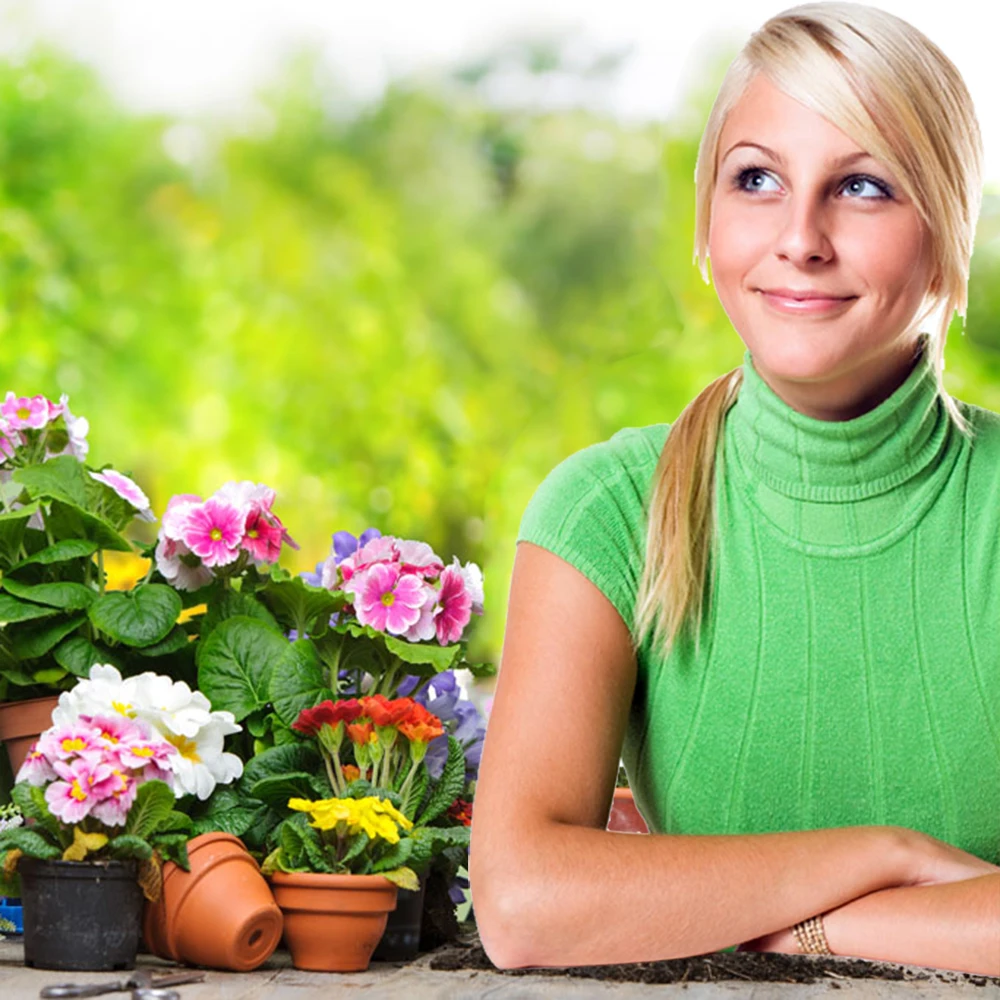 

Difenoconazole Fungicide Plant Safety Sterilization Disinfectant Treating Lawn Blight Diseases Flower Spotted Leaf Garden Bonsai