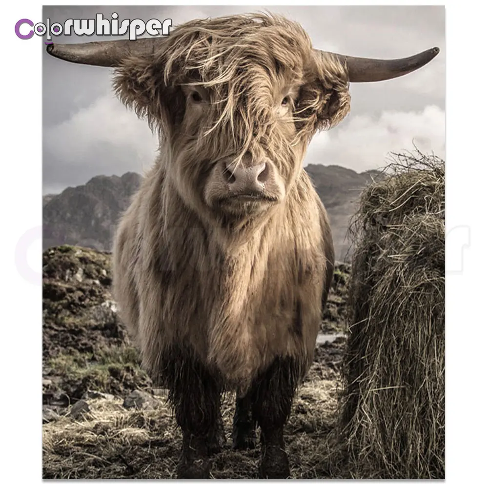 Daimond живопись 5D полный квадрат/круглый Як животное Красочные Алмазная вышивка