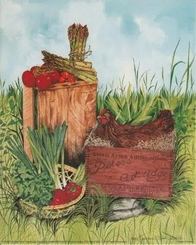 

Country Farm Chicken Hot Shot Hen Tomatoes Kitchen Decor Art Print Poster Tin Sign 8x12 Inch Home Kitchen Bedroom Bar Sign