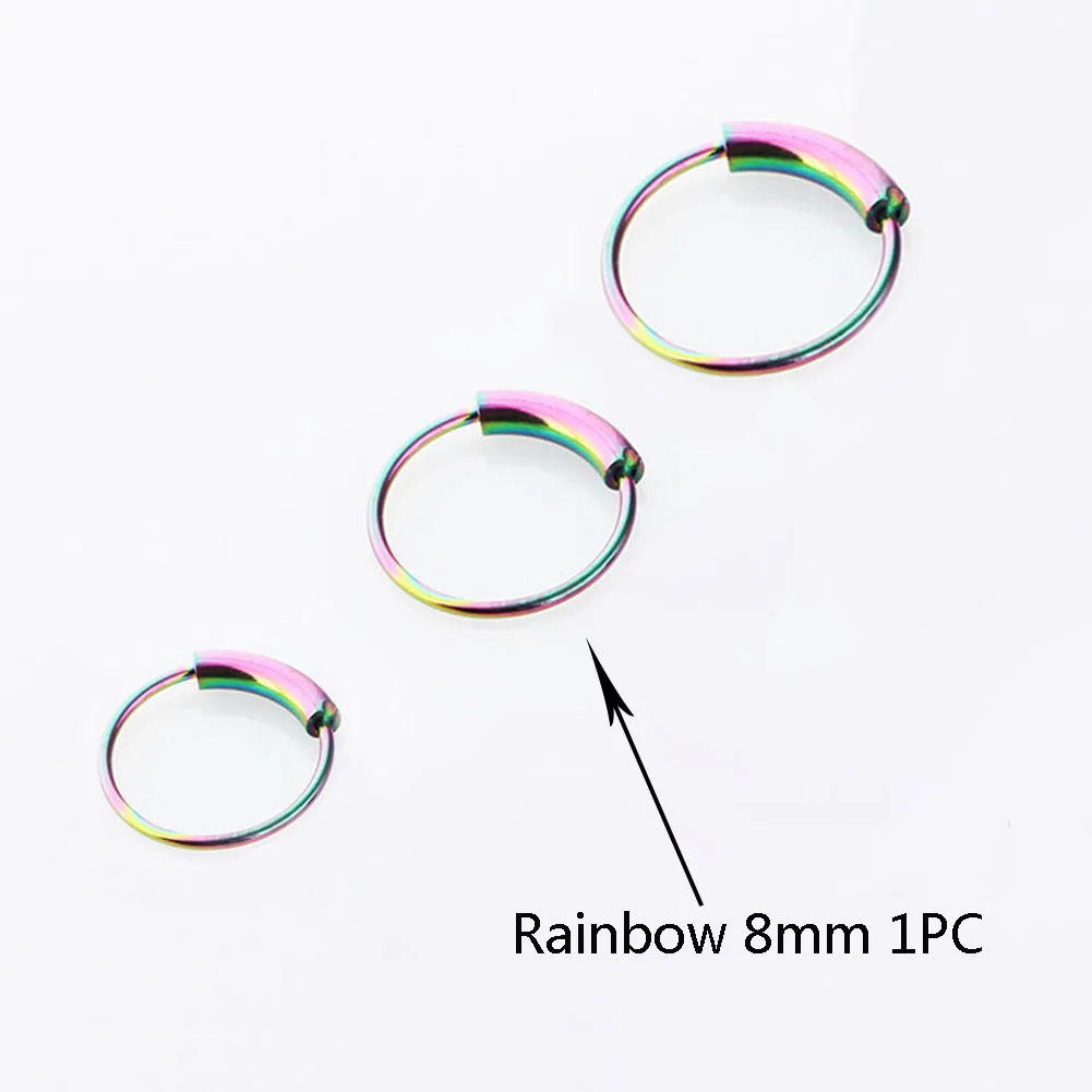 

Steel Hinged Clicker Circle Ring Piercing Nose Ring Hoop Lip Ear Ring Body Jewelry Piercing Clip Gift