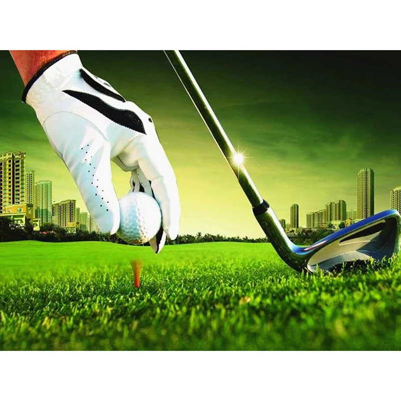 Новинка 5D DIY алмазное вышитое домашнее украшение полный квадратный/круглый Алмаз