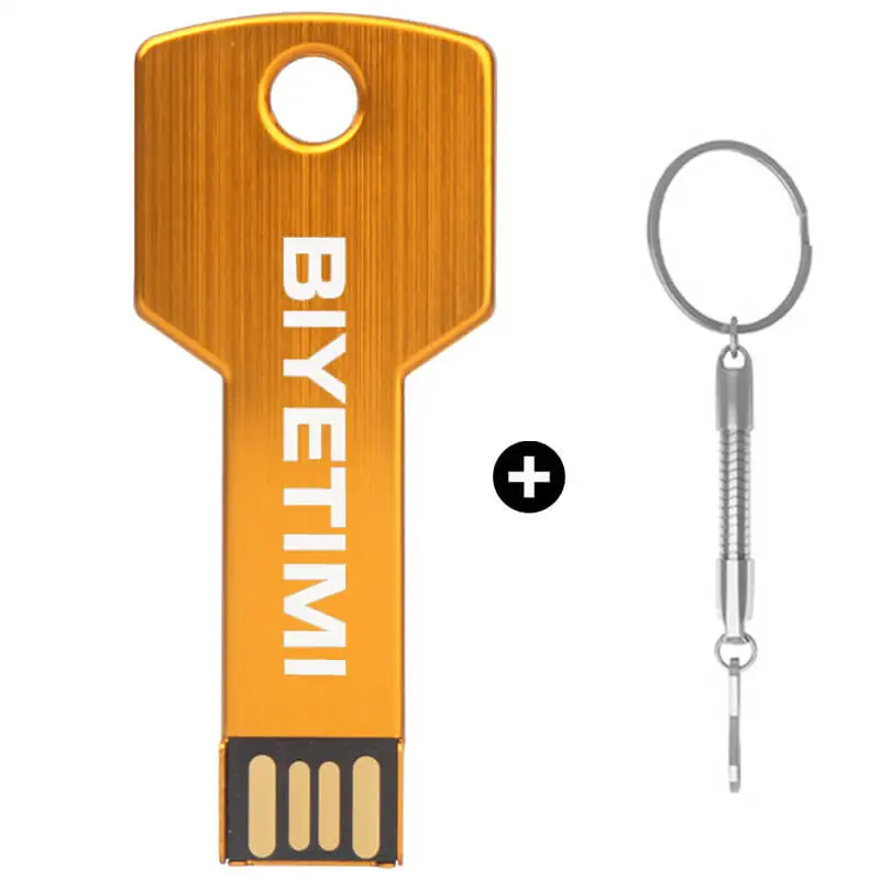 Usb флеш-накопитель biyetimi Corloful Key 8 ГБ 16 ГБ 32 ГБ 64 ГБ Memory Usb Stick 2,0 Флешка для ПК - Цвет: Золотой