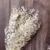 Изображение товара 5