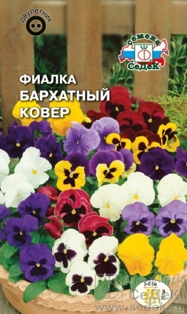 Фиалка Бархатный Ковер 0 05гр/10 (цена за один пакет) | Дом и сад