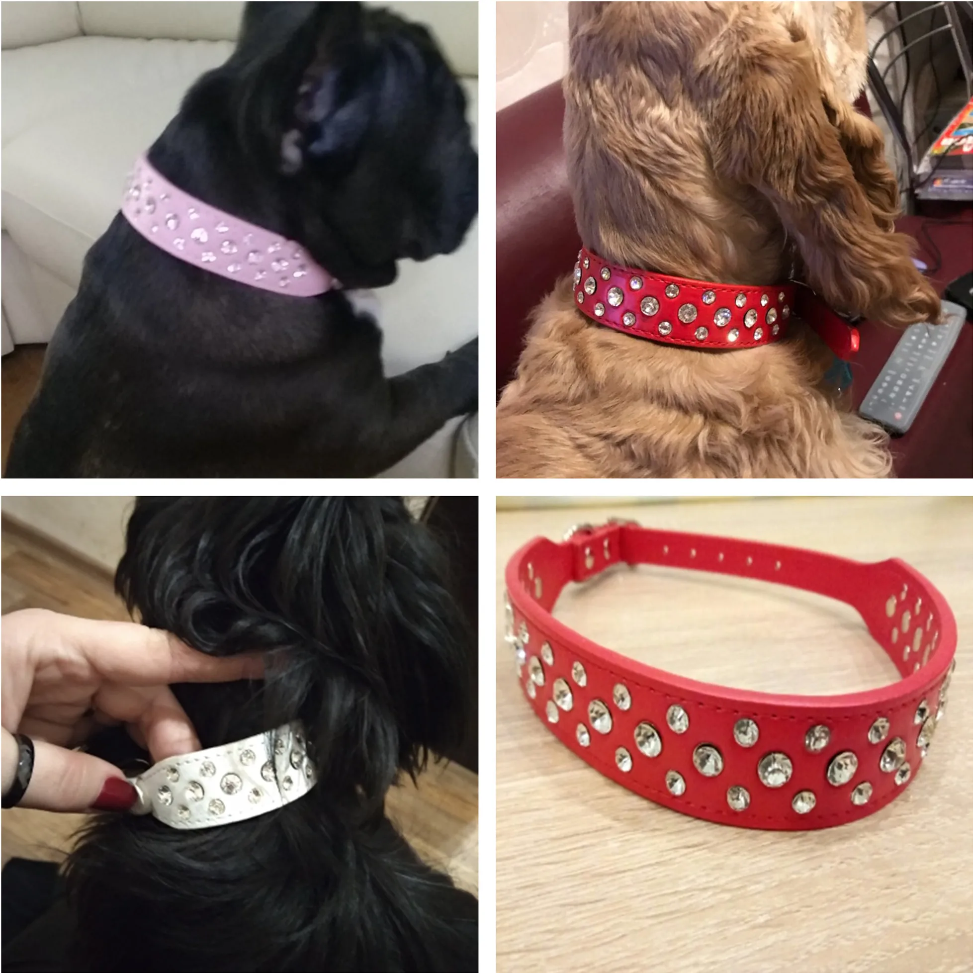 

Dog Collar Engraved Cat Signage Pet Adjustable Leather Reflective Can Be Customized Personalized Unlimited Season Collar