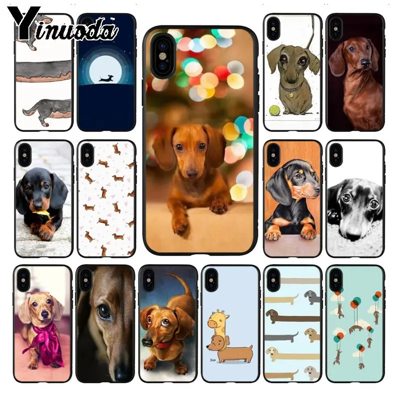 Мягкий чехол для телефона Dachshund Teckel Dackel Dog iPhone X 11PRO MAX 8 7 6S Plus XS 12Pro 5S SE XR мобильного