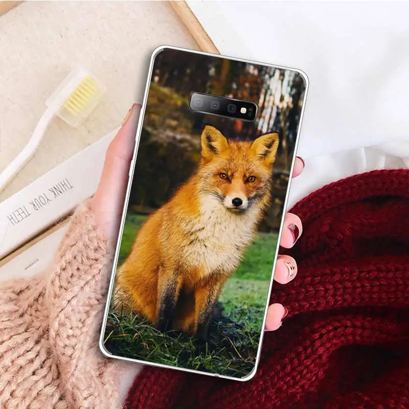 

Fox cute animal Phone Case Transparent For Samsung Galaxy A 71 21s S note 8 9 10 plus 20 ultra