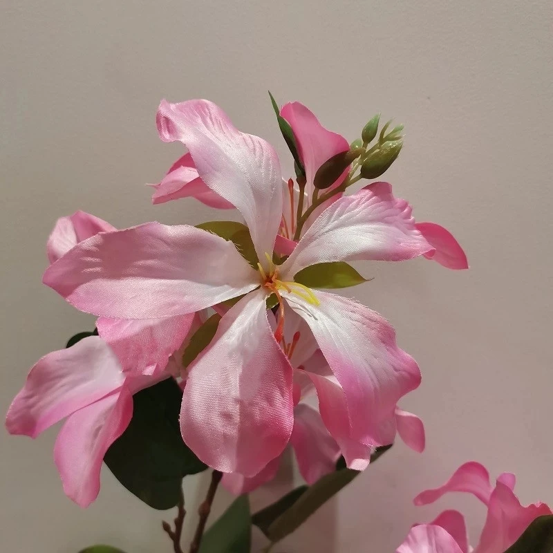 

Simulated Bauhinia Hong Kong Full Red Stripe Qingming Flower Light Luxury Soft Decoration Outside The Hreen Plant Decorations F