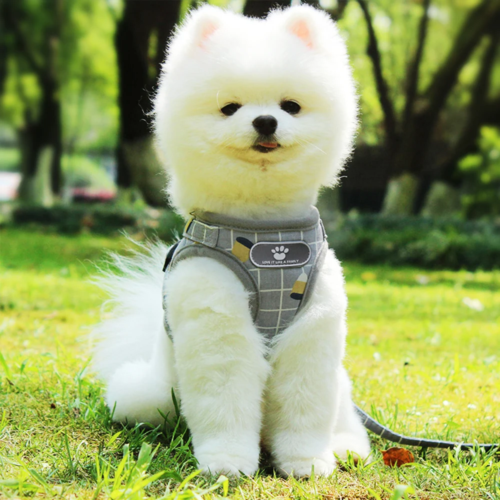 Мягкий сетчатый комплект для собак и кошек дышащий жилет щенков маленьких