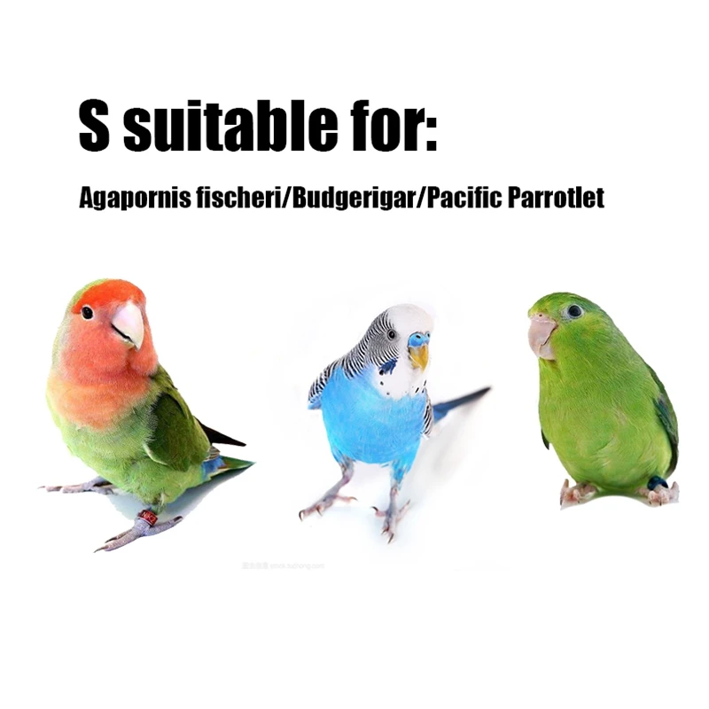 Одежда для птиц одежда попугаев таракатис монах попугай пион Budgerigar подгузники