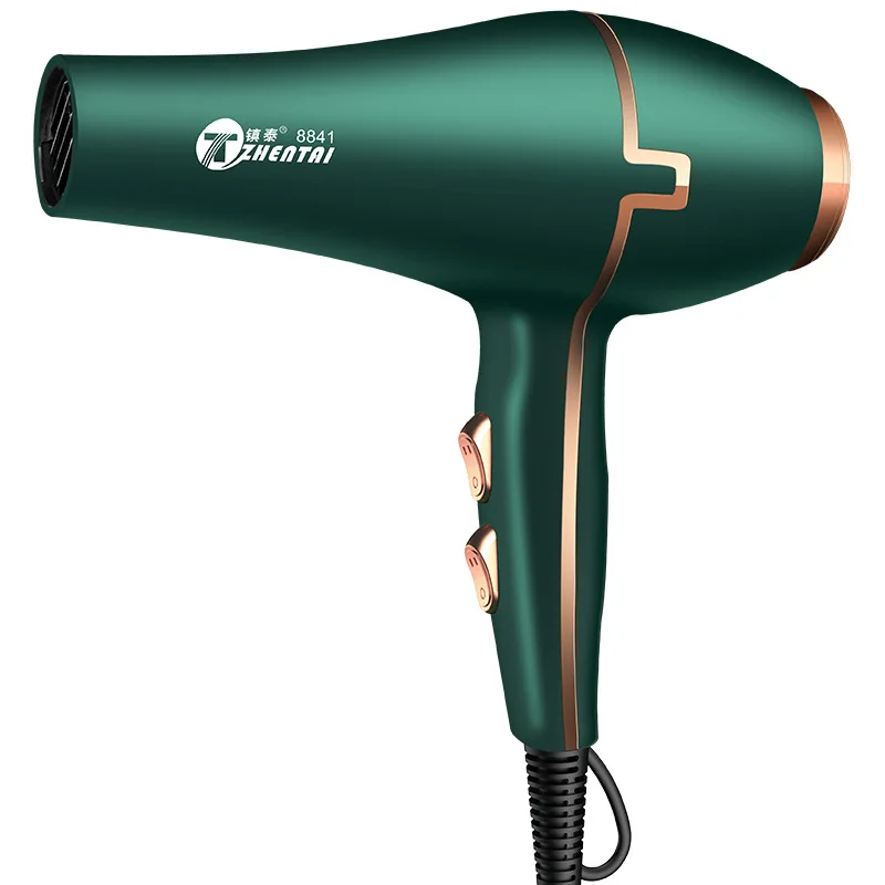 

2000W High Power Hair Dryer Negative Ion Special Electric Hair Dryer Cold and Hot Air Dryer for Household Barber Shop